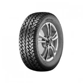 Fortune Bora FSR 302 XL